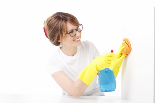 Eco-friendly cleaning solutions for ovens