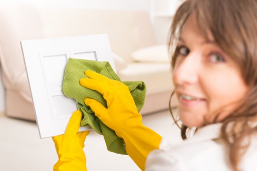Professional household cleaners at work in Fulham