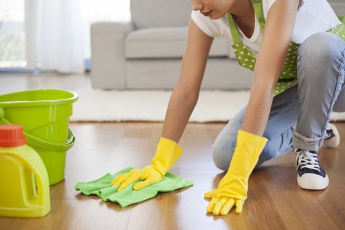 Fulham Cleaners team using eco-friendly products